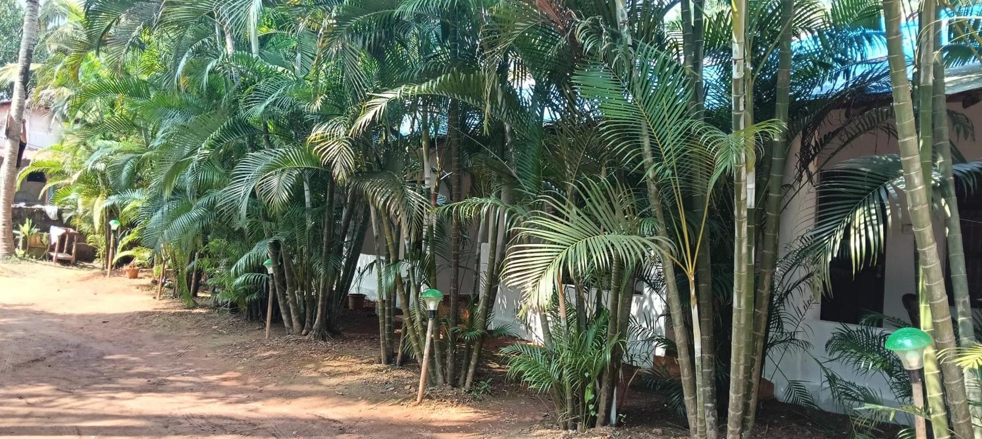 Casa Beach Hut Resort Palolem Dış mekan fotoğraf