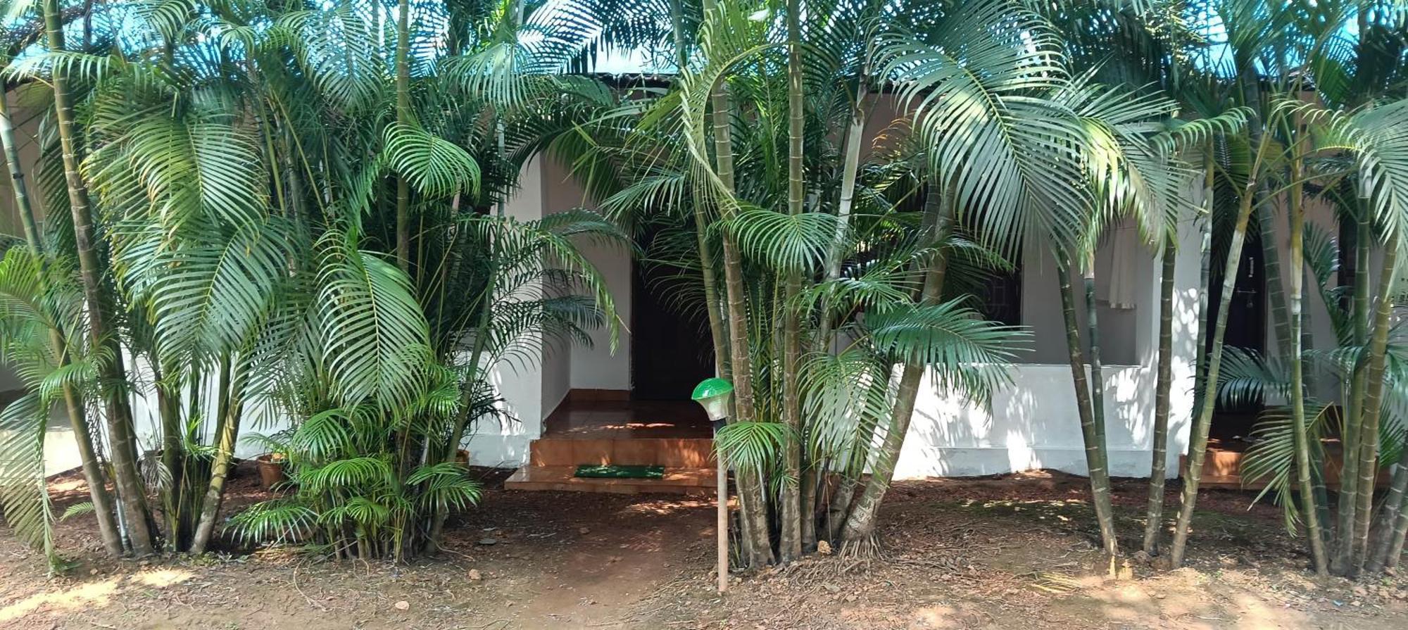 Casa Beach Hut Resort Palolem Dış mekan fotoğraf